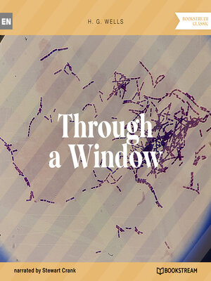 cover image of Through a Window (Unabridged)
